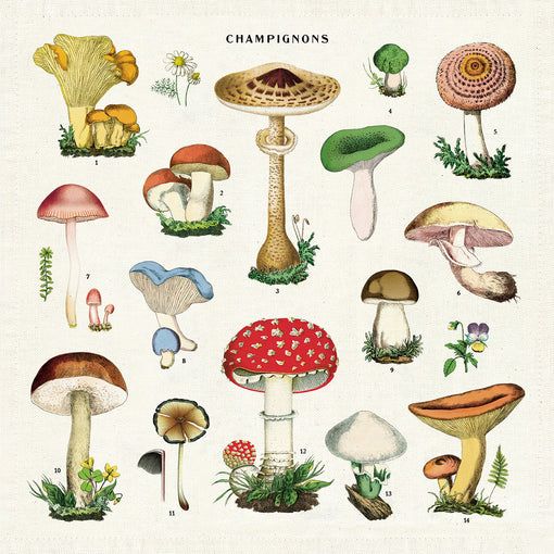 Mushrooms Cotton Napkins (Set of 4)