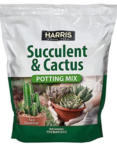 Harris Premium Succulent and Cactus Potting Mix