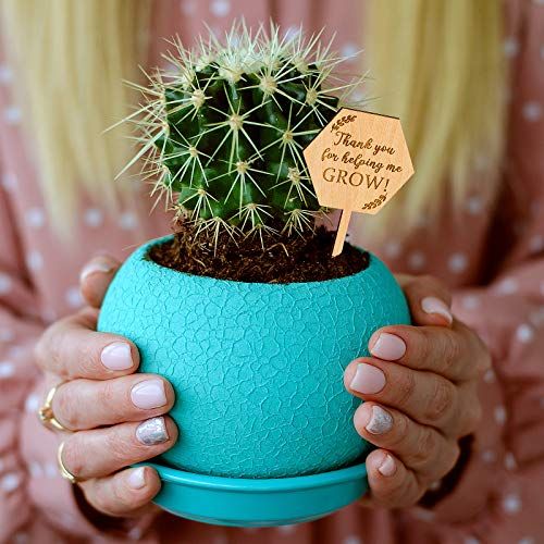 'Thank You for Helping Me Grow' Succulent Tag