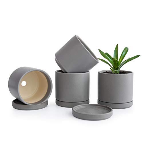 Set of 4 Small Succulent Plant Pots