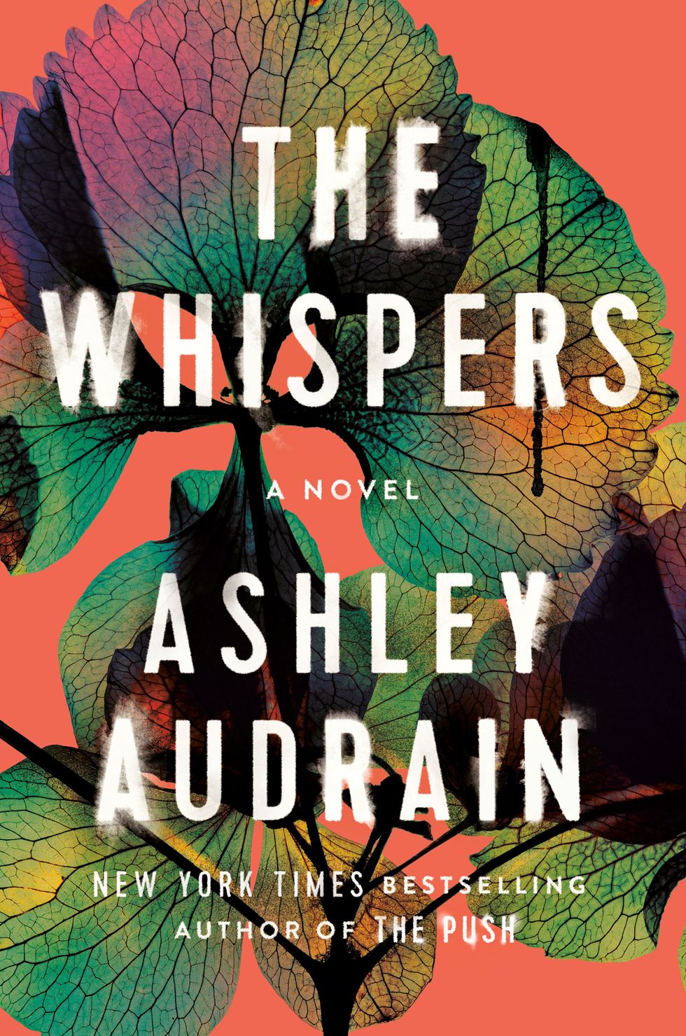 <i>The Whispers</i> by Ashley Audrain
