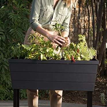 Raised Planter with Self-Watering Box