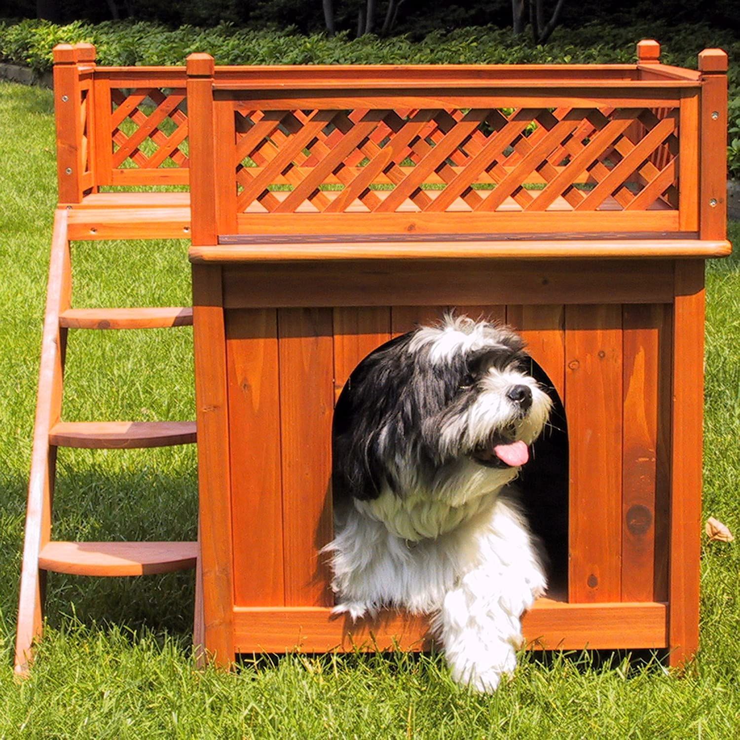 Dog mansions best sale