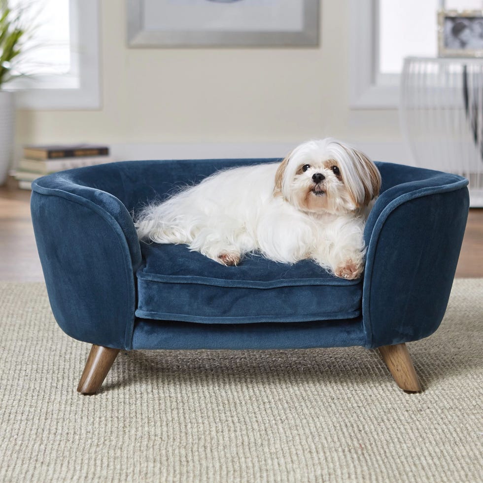 11 Best Dog Couches In 2024 Our Picks