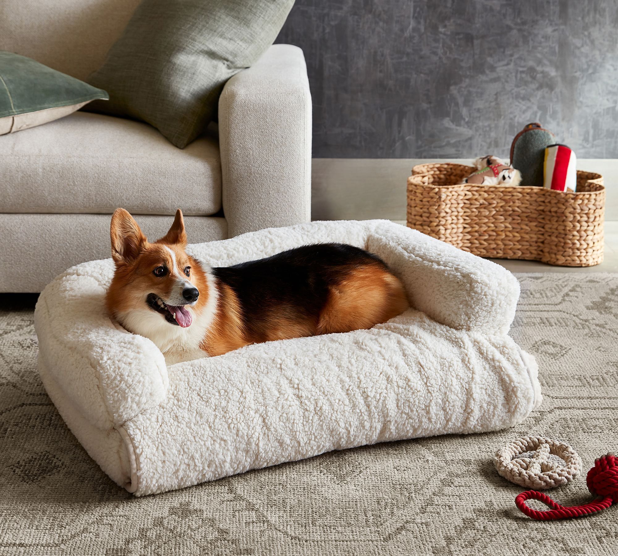 Best dog bed for hot sale seniors