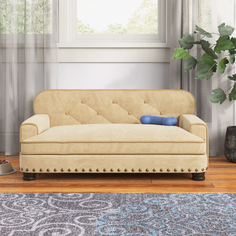 11 Best Dog Couches In 2024 Our Picks
