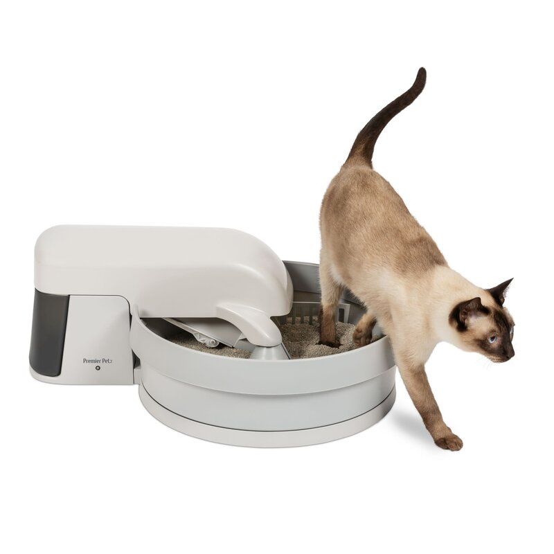 5 Best Automatic Self-Cleaning Litter Boxes for Cats