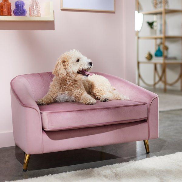 Elevated Curved Dog Couch