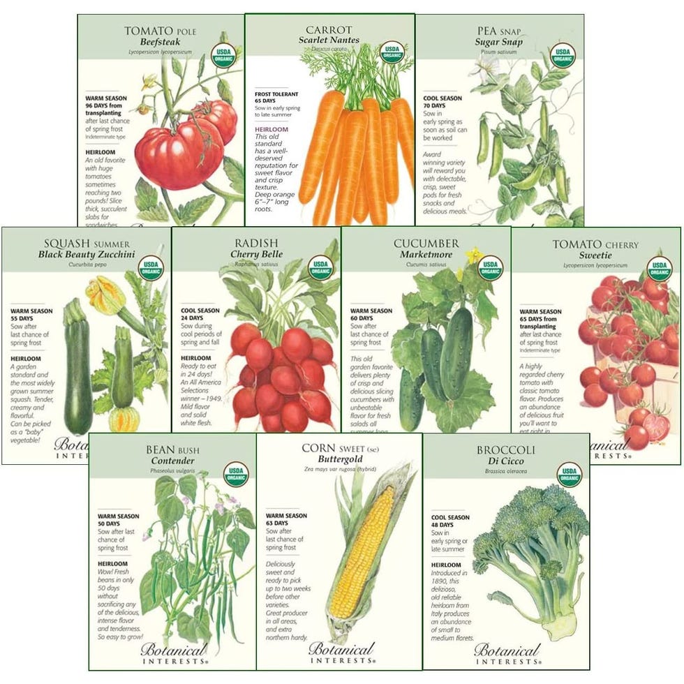 Non-GMO Starter Veggies Seed Collection