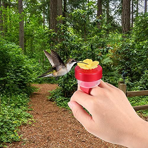 This is another simple way to create your own handheld hummingbird fee