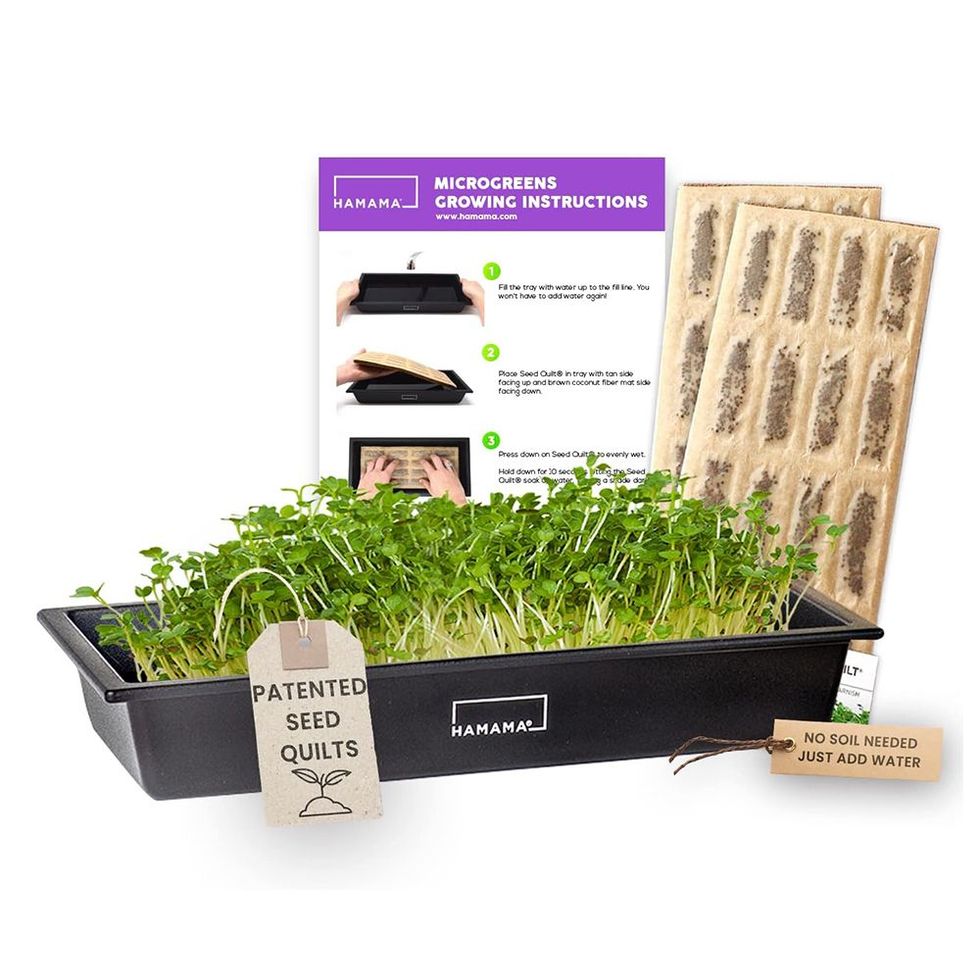 Home Microgreens Growing Kit