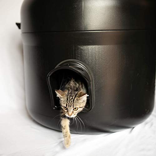 Best feral hot sale cat shelter