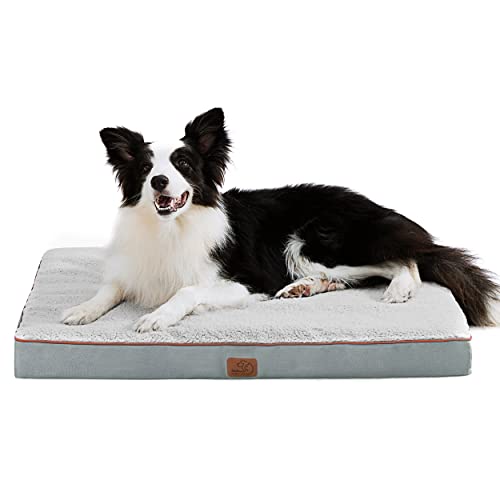 Amazon Pet Day Sale 2024: Best Early Pet Toys and Pet Bed Deals