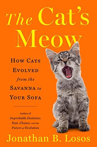 The Cat's Meow: How Cats Developed from the Savanna to Your Sofa
