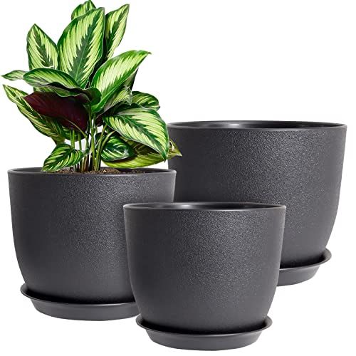 Plant Pots, Set of 3