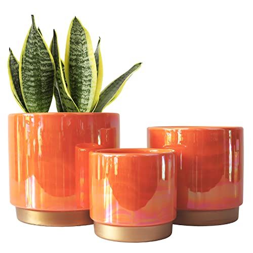 Ceramic Indoor Pots for Plants