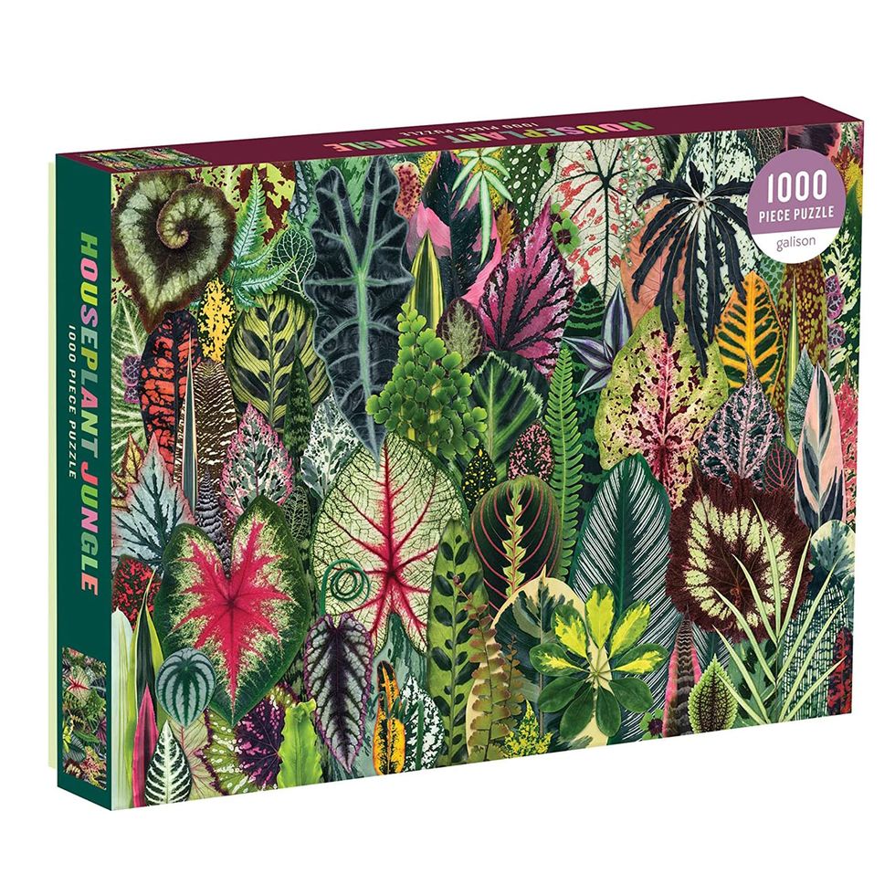 Houseplant Jungle 1000-Piece Puzzle