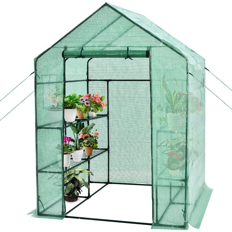 Greenhouse