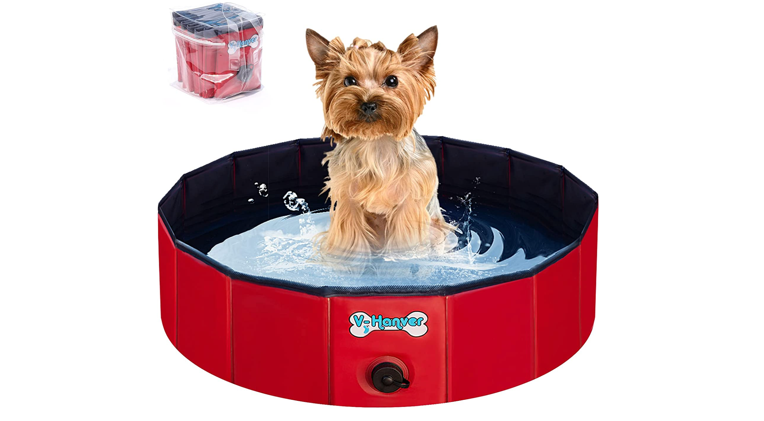 what type of pool is best for dogs