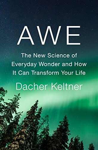 Awe: The Contemporary Science of Day to day Marvel and How It Can Become Your Life