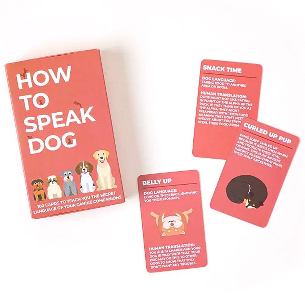 ‘How to Speak Dog’ Cards
