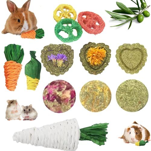 Chew Toys, Chew Treats, and Balls (12 Pieces)