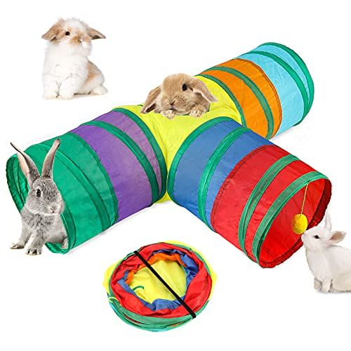 Bunny Tunnels and Tubes 