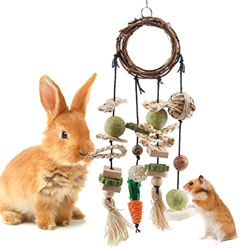 Best toys for 2025 rabbits to chew