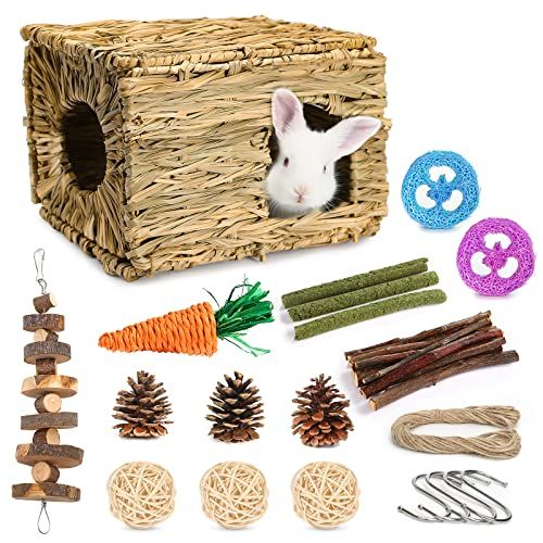 Buy store rabbit toys