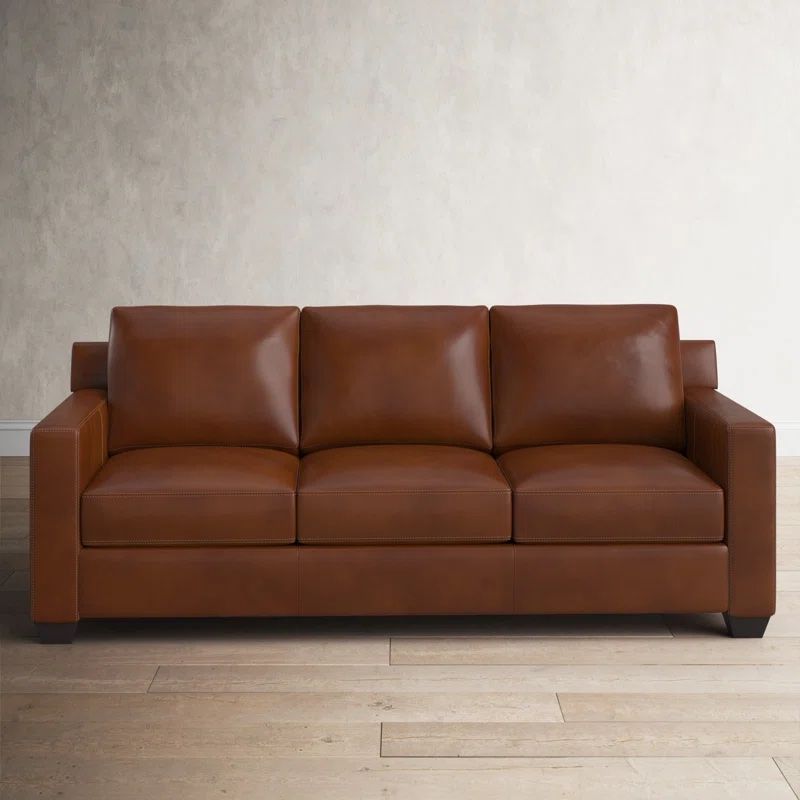 Birch lane deals leather sofa