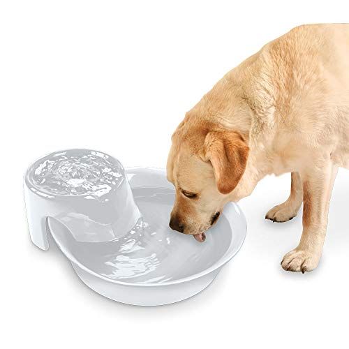 Fountain style dog outlet bowl