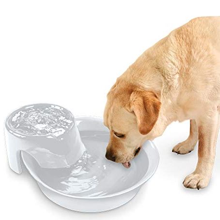 Large Dog Water Fountain, 1.5 Gallon Dog Water Bowl Dispenser, SIBAYS Pet  Water Fountain for Large Dogs, BPA-Free, Super Quiet Extra Large Cat and Dog  Fountain for Multiple Pets, 2 Replacement Filters