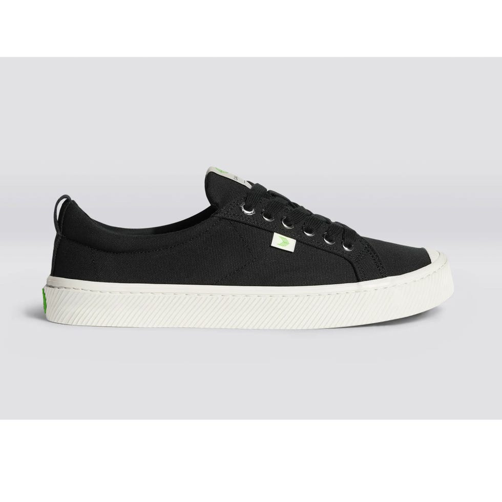 Black Canvas