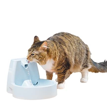 Catit water fountain review: A must-buy for cat owners - Reviewed