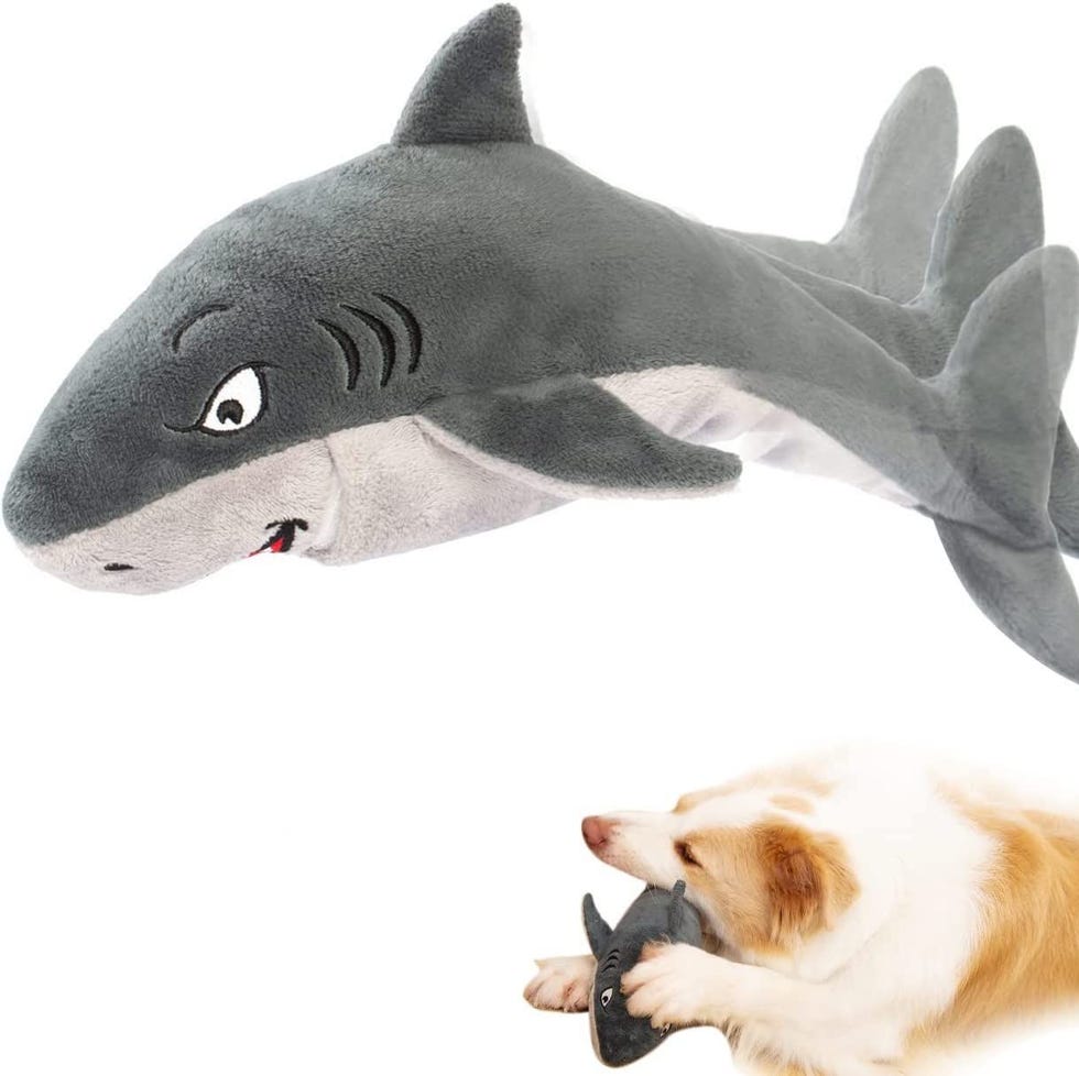 Interactive Floppy Fish Dog Toy