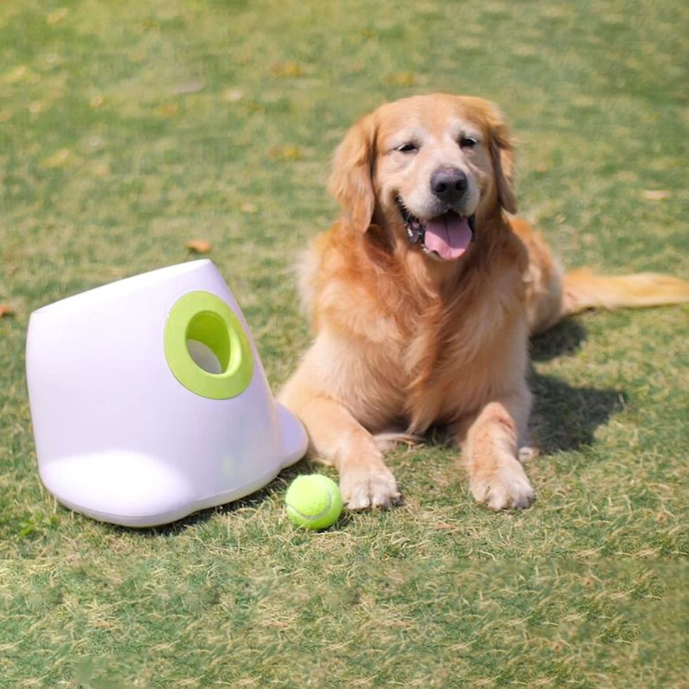 Dog Ball Launcher 