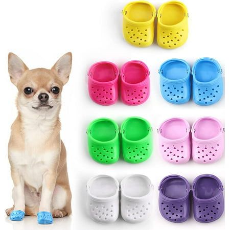 Best Dog Crocs - Where to Buy a Pair of Crocs for Your Dog