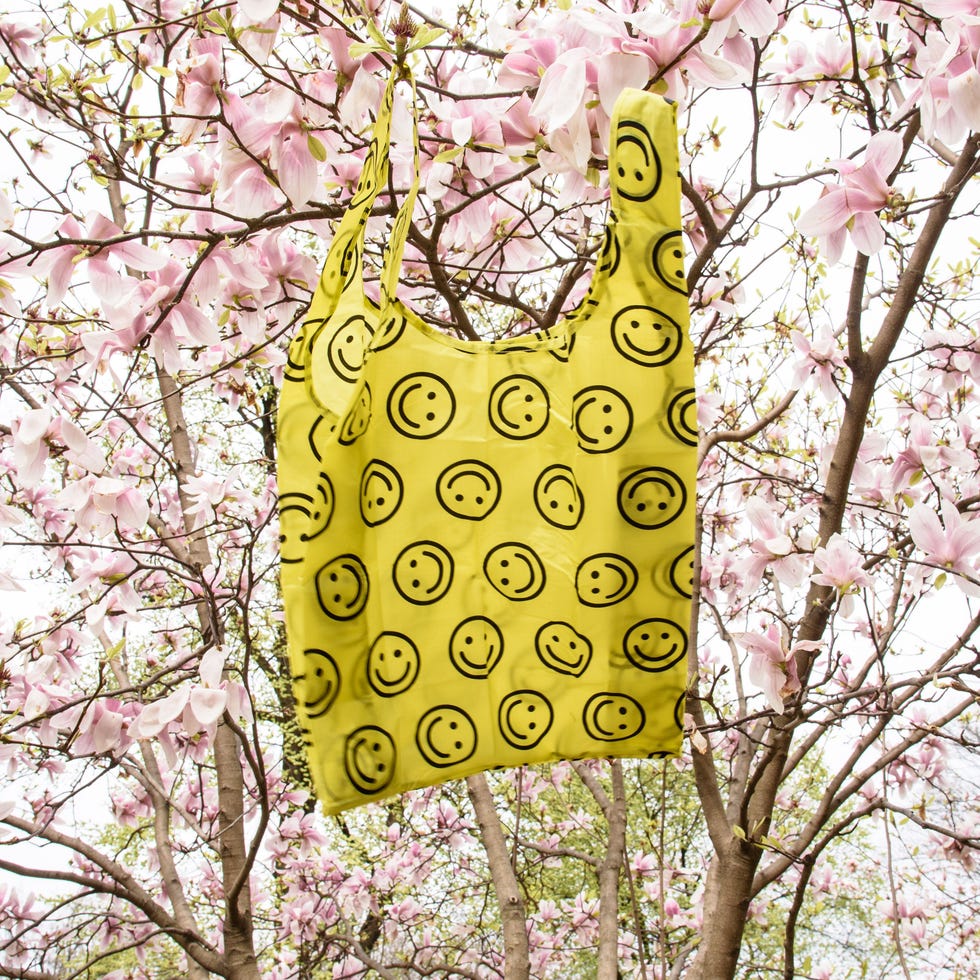 Standard Baggu Standard Baggu