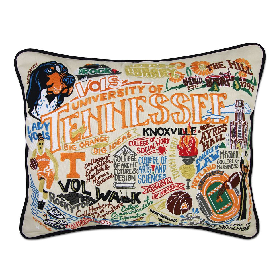 Embroidered College Pillows 