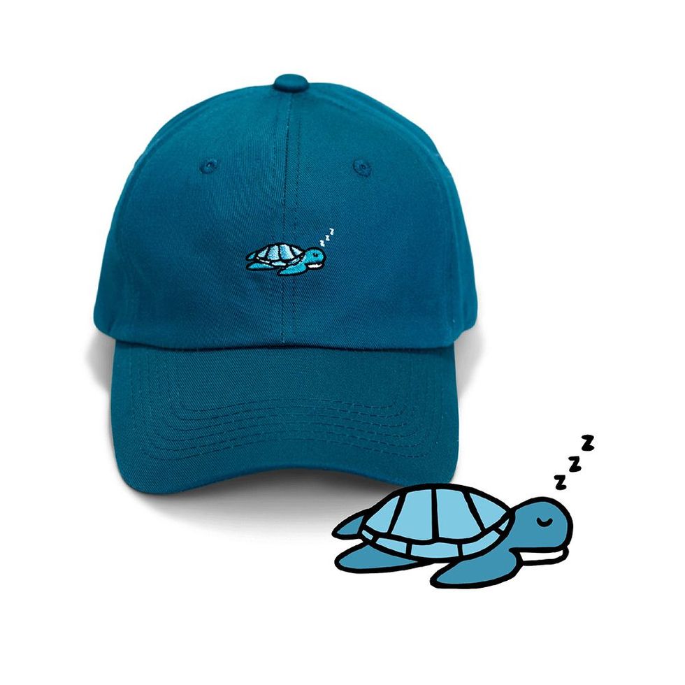 Sea Turtle Hat