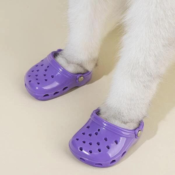 2-Pack of Pet Shoes