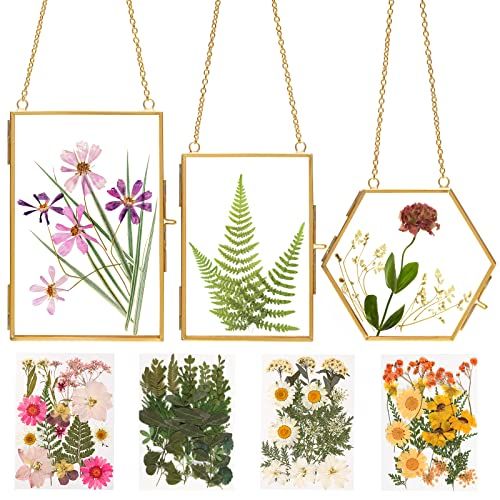 Double-Glass Frames for Pressed Flowers