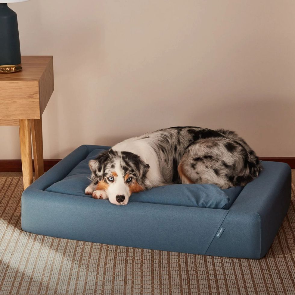 Pawtton Love Designer Luxury Dog Bed