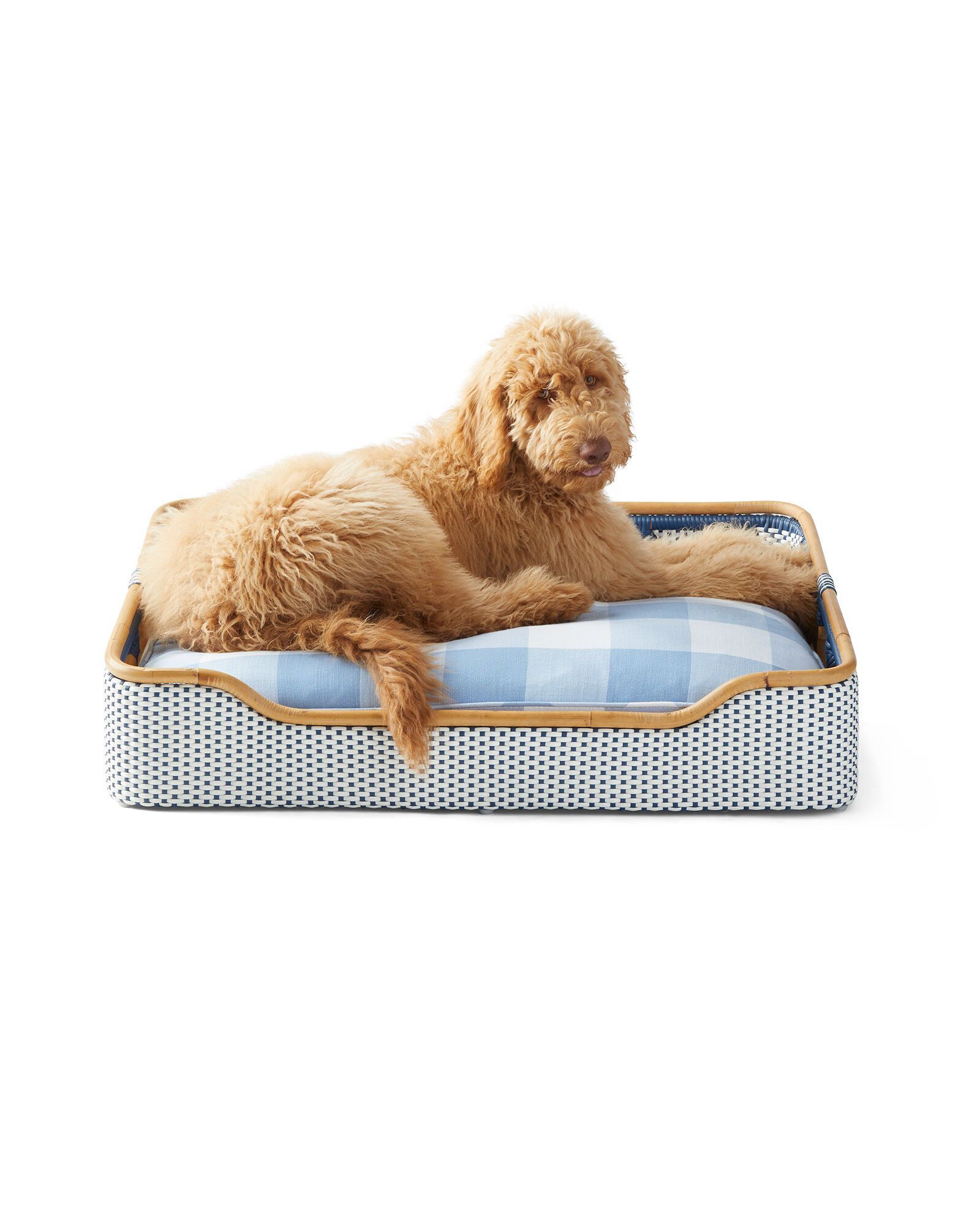 Fancy girl dog clearance beds