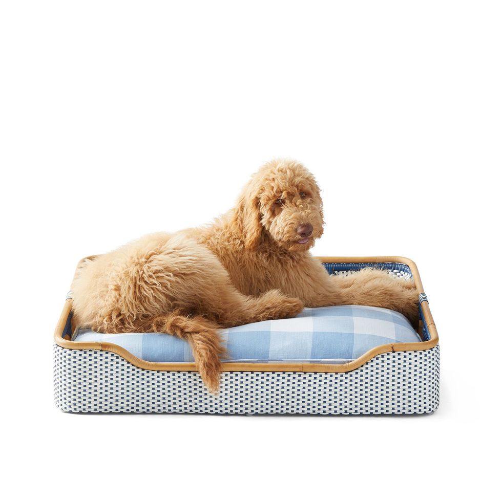 Gray and Cream Royal Dog Bed Designer Pet Bed Luxury 