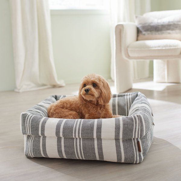 Louis Vuitton beds for dog  Cheap Luxury pet beds, 2023 Best