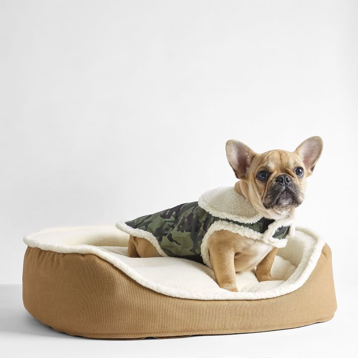 Most expensive hotsell dog bed