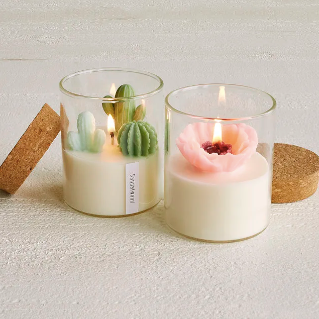 Terrarium Candle Terrarium Candle