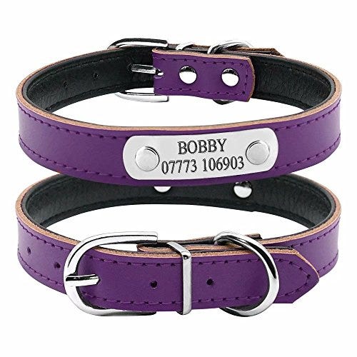 Collar acolchado para mascotas