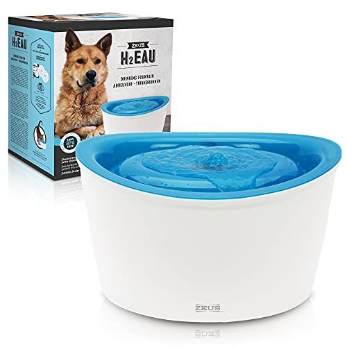 Best pet 2025 drinking fountain